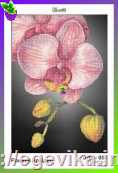 Схема, часткова вишивка бісером, атлас,  "Рожева орхідея"