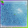 Чешский бисер Preciosa 08236