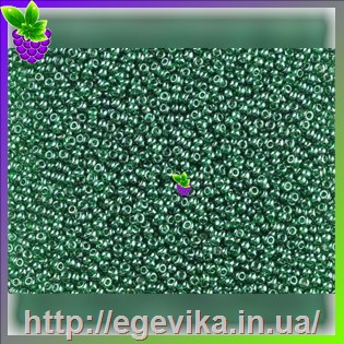 рисунок бисер 56060