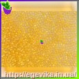 Чешский бисер Preciosa 58583