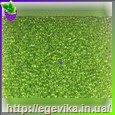 Чешский бисер Preciosa 01154