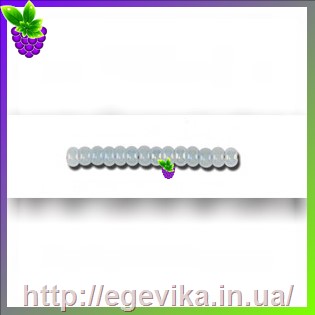 рисунок бисер 57534 / 563