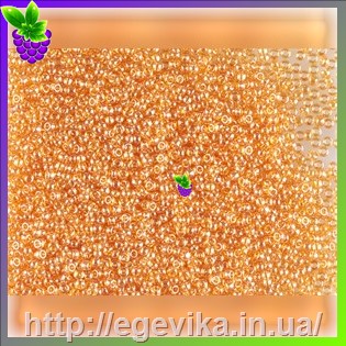 рисунок бисер 16070