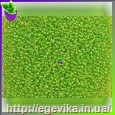 Чешский бисер Preciosa 81012