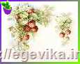 рисунок Схема, часткова вишивка бісером, атлас/габардин, 