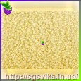 Чешский бисер Preciosa 02281