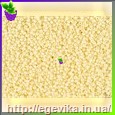 Чешский бисер Preciosa 03481