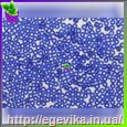 Чешский бисер Preciosa 37050м