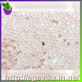 Чешский бисер Preciosa 07712к