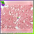 Чешский бисер Preciosa 07722к
