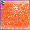 Чешский бисер Preciosa 90030м