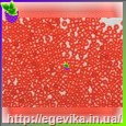 Чешский бисер Preciosa 90050м