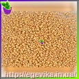 Чешский бисер Preciosa 18581м