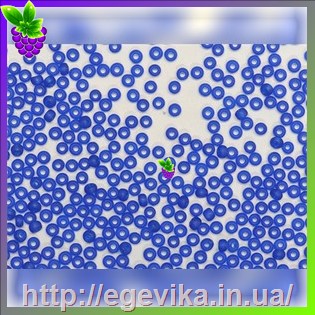рисунок бисер 60300м / 169