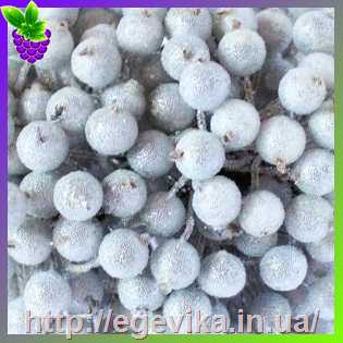 Купить Ягоди калини в інеї, колір серебрянный