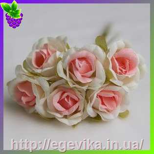 Купить Роза, цвет молочно-розовый