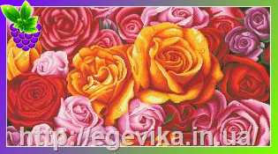 рисунок Схема, полная вышивка бисером, полотно,  Яркие розы