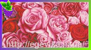 рисунок Схема, повна вишивка бісером, полотно,  Оксамитові троянди