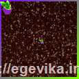 <span>Сухі</span>  блискітки гліттер, колір коричневий