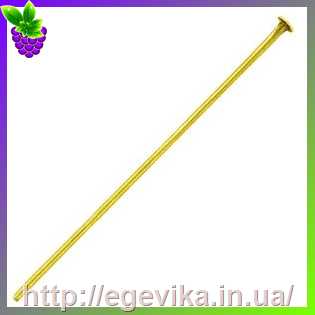 Купить Гвоздики пины з капелюшком, золото, 35 х 0,7 мм, 5 шт