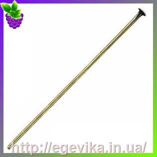 Купить Гвоздики пины з капелюшком, бронза, 40 х 0,7 мм, 5 шт