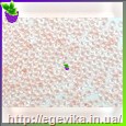 Чешский бисер Preciosa 38387