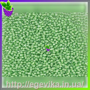 рисунок бисер 55437