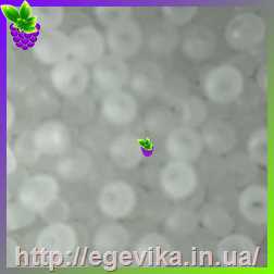 рисунок бисер 02090ма