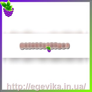 рисунок бисер 38319ма