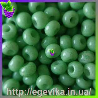 рисунок бисер 03661