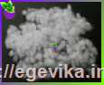 Холлофайбер Україна, сорт 2, 100 г