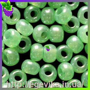 рисунок бисер 62161а