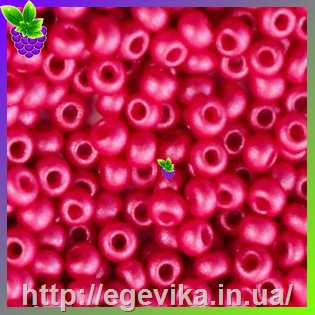 рисунок бисер 22011а