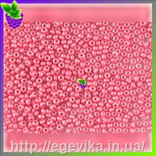 рисунок бисер 16699ма