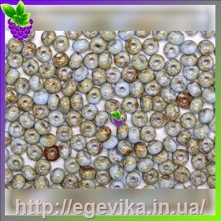 рисунок бисер 39000а