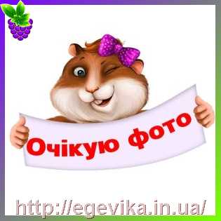 Купить Органайзер для бісеру з кришкою, 53 чарункик / відділи