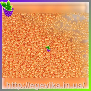 рисунок бисер 17389 / 509