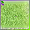 Чешский бисер Preciosa 56220