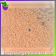 Чешский бисер Preciosa 37383