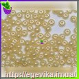 Чешский бисер Preciosa 47113