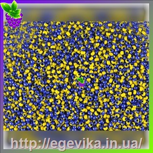 рисунок бисер 83730а