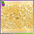 Чешский бисер Preciosa 17070
