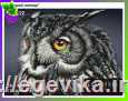 Схема, частичная вышивка бисером, габардин "Мудрий погляд"