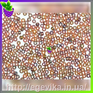 рисунок бисер 17119