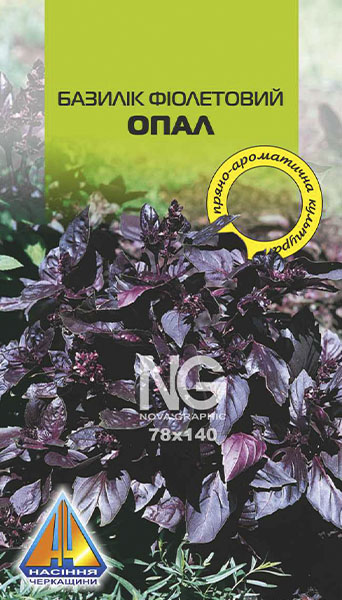 <span>Базилік</span>  фіолетовий Опал (0,3г), ранньостиглий