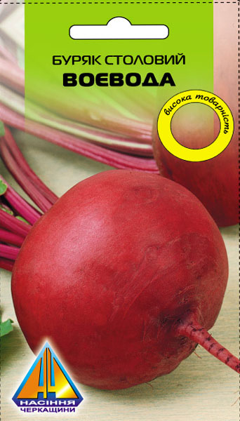 <span>Буряк</span>  столовий Воєвода (15г), середньостиглий, коренеплід масою 200-250г