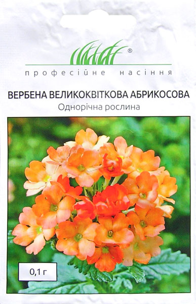 <span>Вербена</span>  Абрикосова великоквіткова (0.1г)