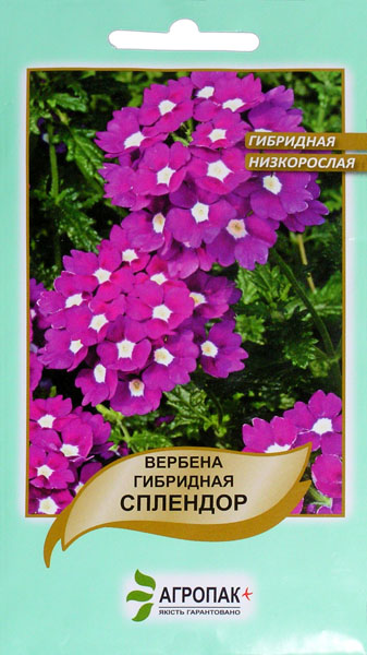 <span>Вербена</span>  Сплендор низькоросла (0.1г)
