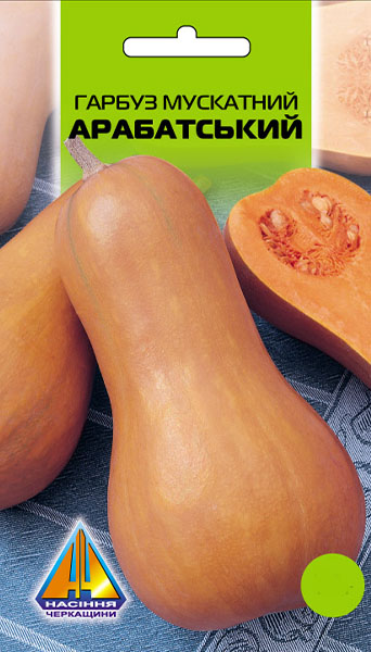 <span>Гарбуз</span>  Арабатський мускатний (10г), середньостиглий, плід масою 4,9-9кг, довжиною 56см, діаметром 13-14см