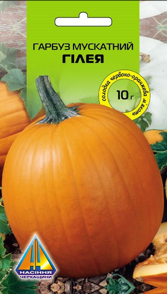 <span>Гарбуз</span>  Гілея (10г), середньостиглий, плоди вагою 6-9кг